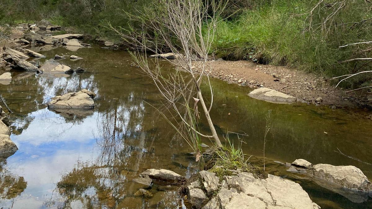 Ningee Gold Panning, Detecting