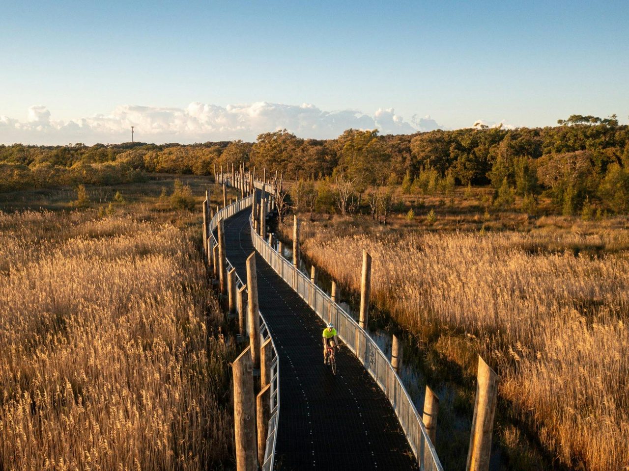 Shared Track