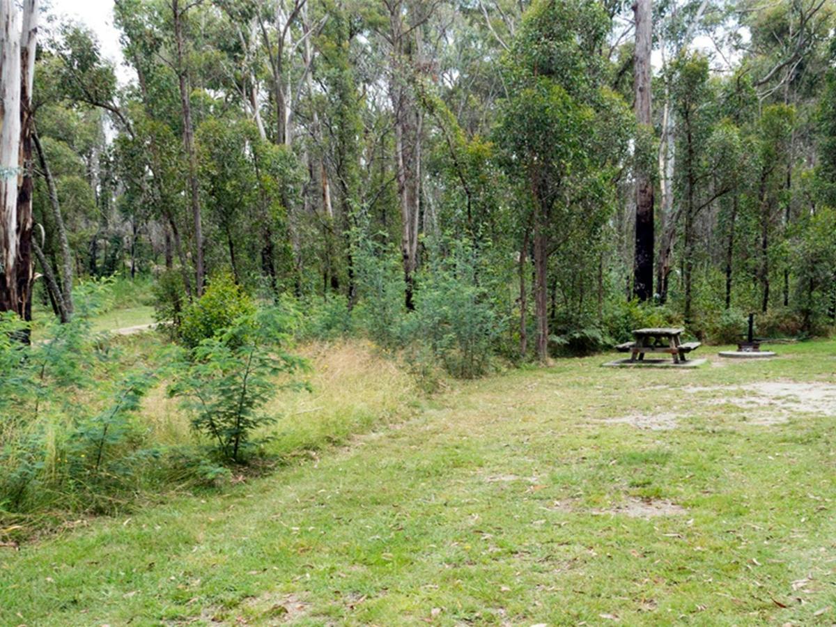 One of the campsites with a picnic table at Native Dog campground, Cathedral Rock National Park.