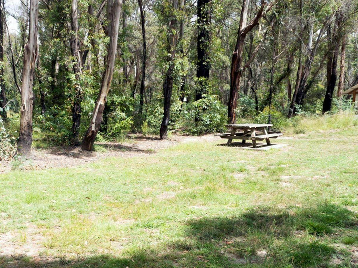 Campsite showing picnic table and signboard, Native Dog campground in Cathedral Rock National Park.