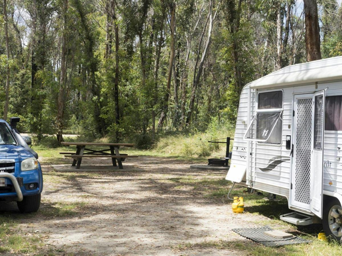 Camping at Native Dog campground, Cathedral Rock National Park. Photo: Leah Pippos, &copy; DCCEEW