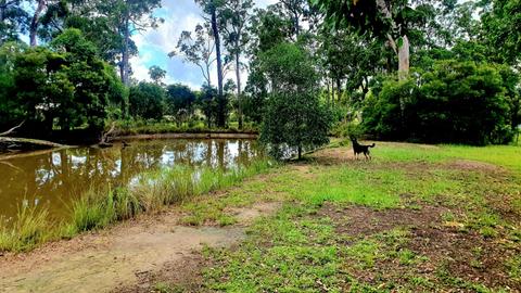 Losfergos Eco Accommodation