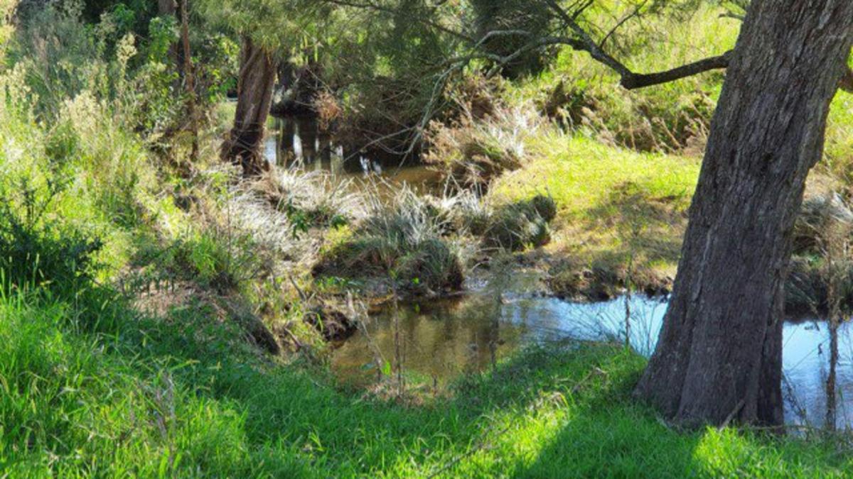 Middle Creek Camp