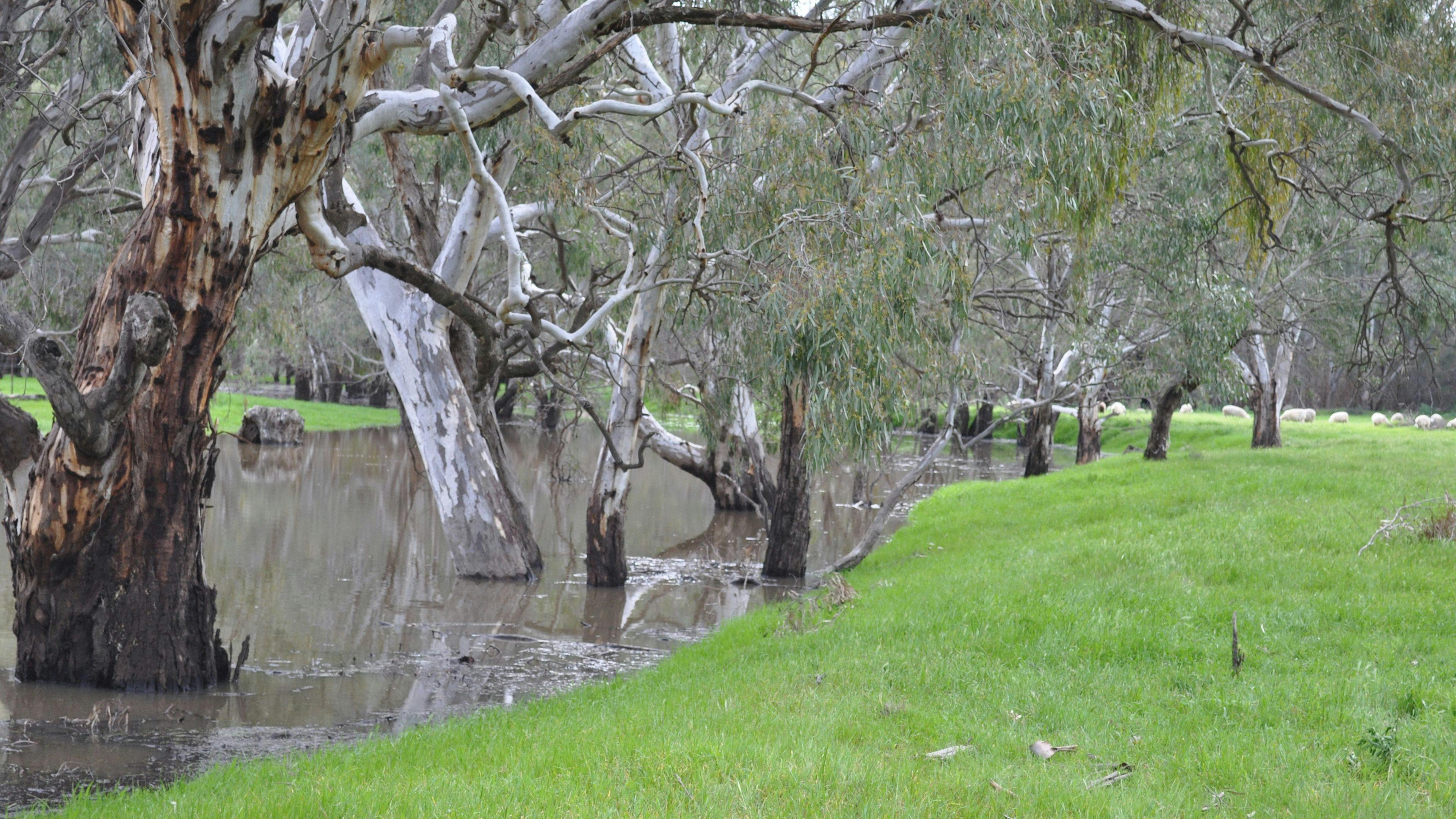 CLICK TO VIEW GALLERY