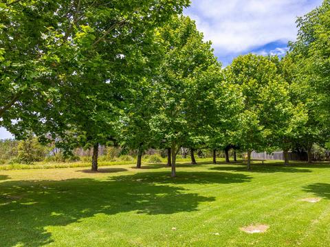 Tent Site | Property