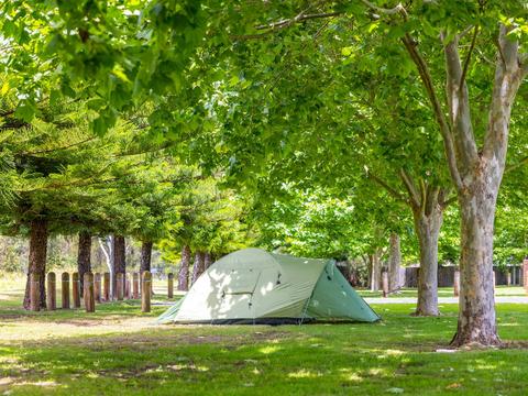 Tent Site | Site