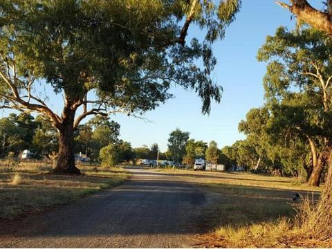 Mendooran Showground