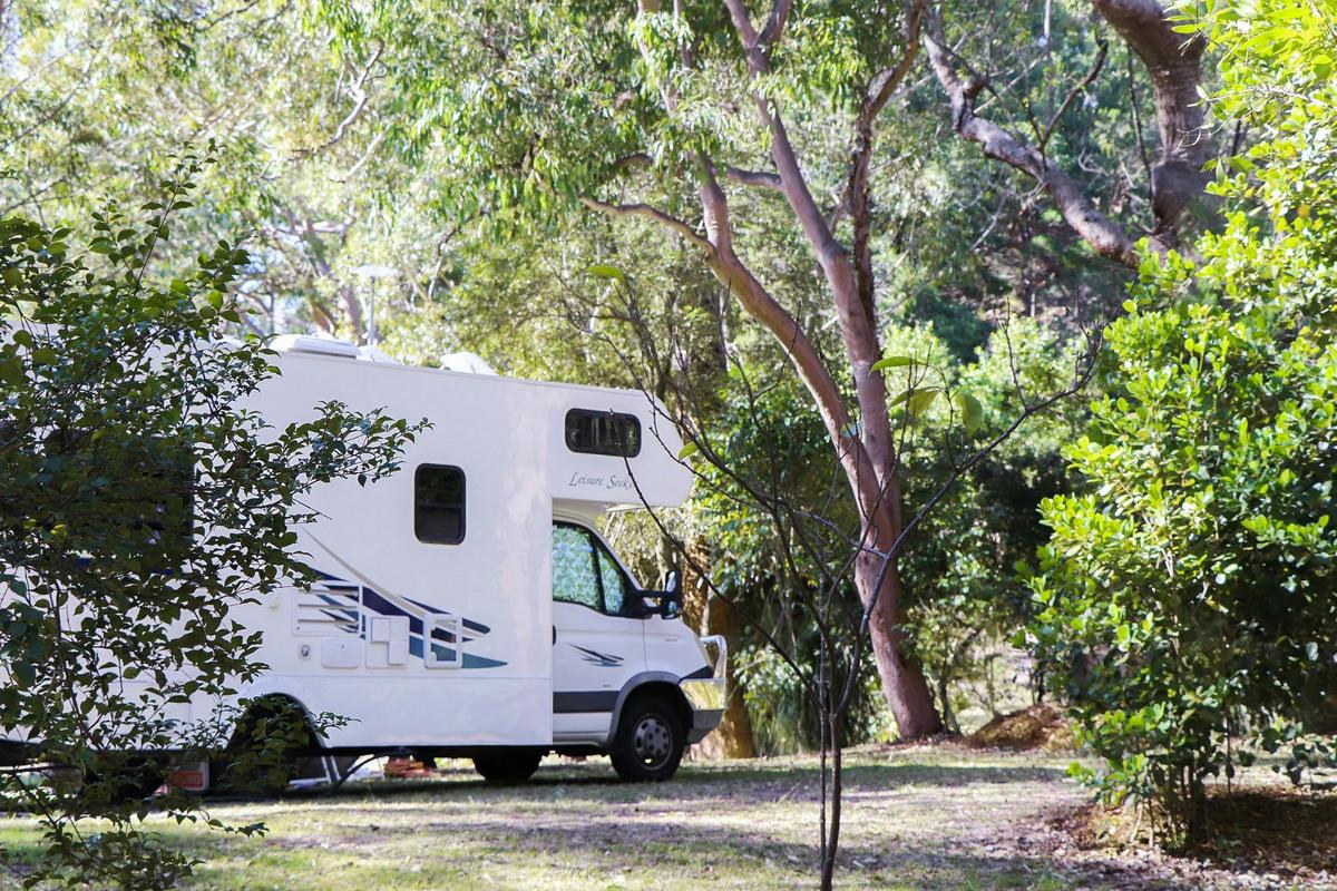 Minnie Water Holiday Park Site