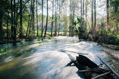 Misty Mountain Wilderness Health Retreat