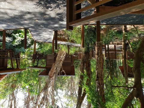 Melaleuca Surfside Backpackers