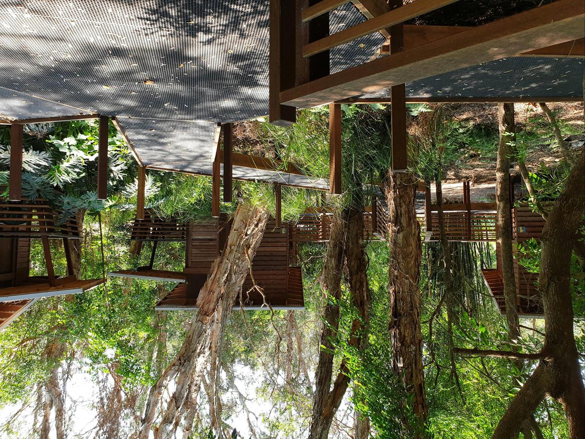 Cabins