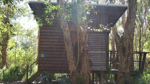 Cabin 4