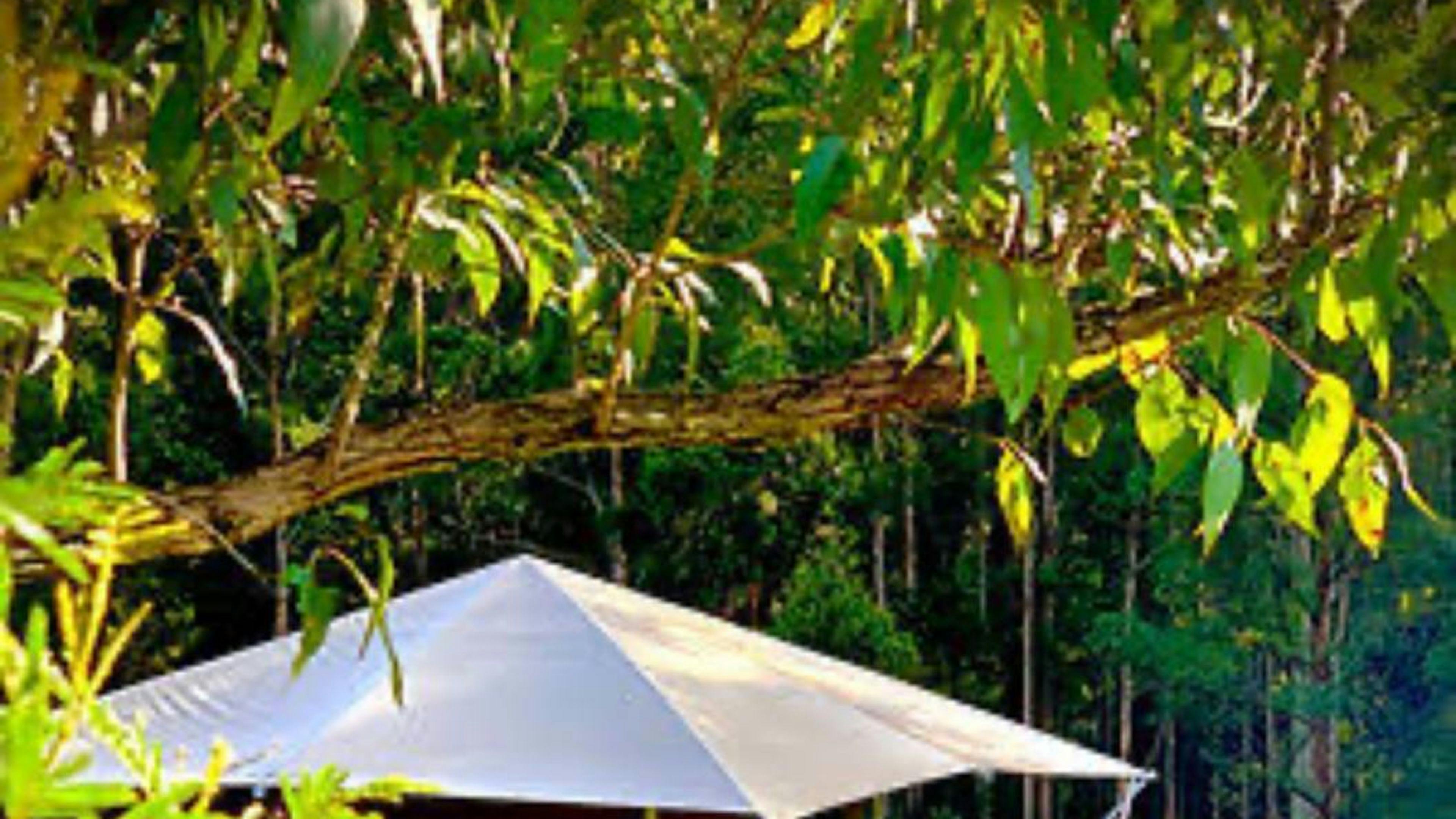 Luxury Glamping LilyPonds Retreat