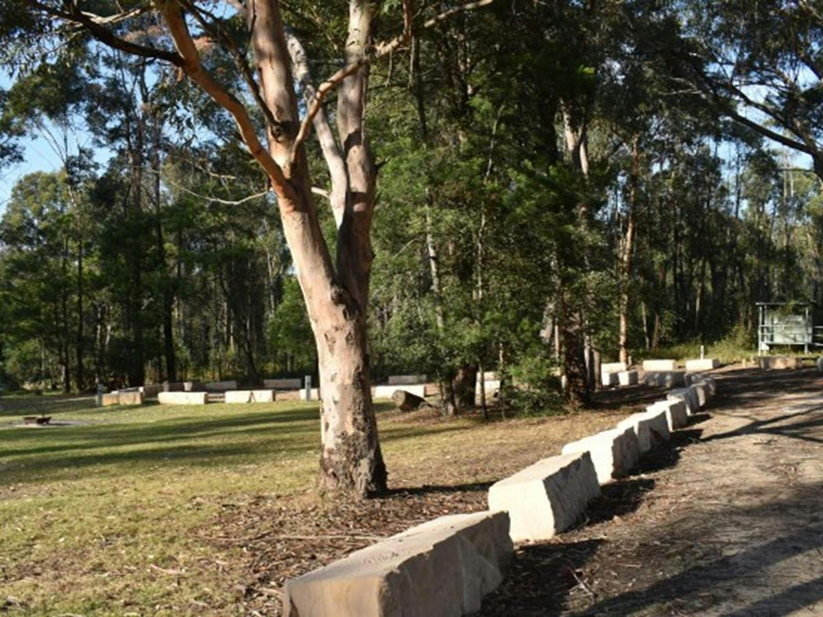 The road beside Mogo campground in Yengo National Park. Photo: Sarah Brookes &copy; DPIE