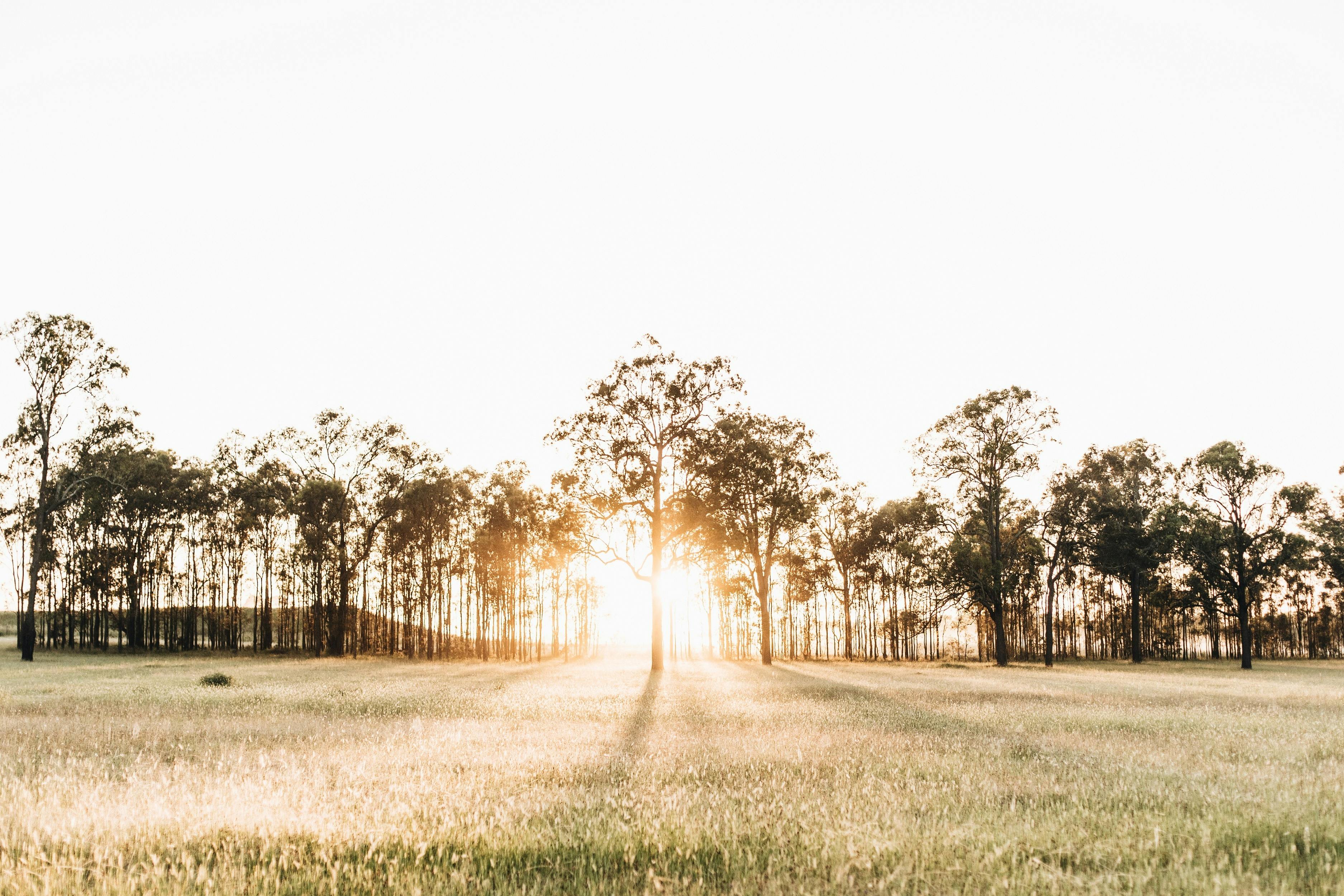 Miliya Health Retreat