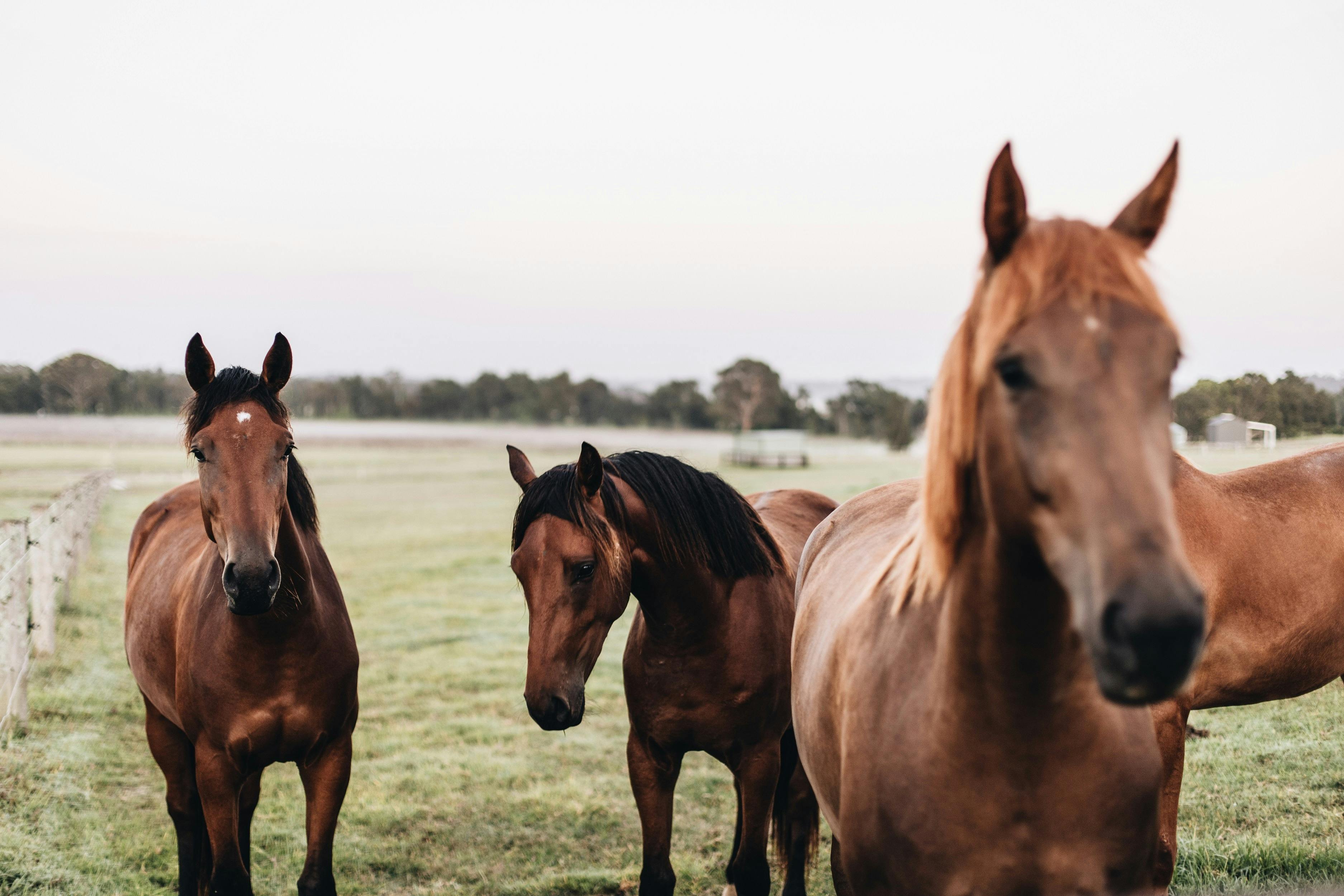 Miliya Health Retreat