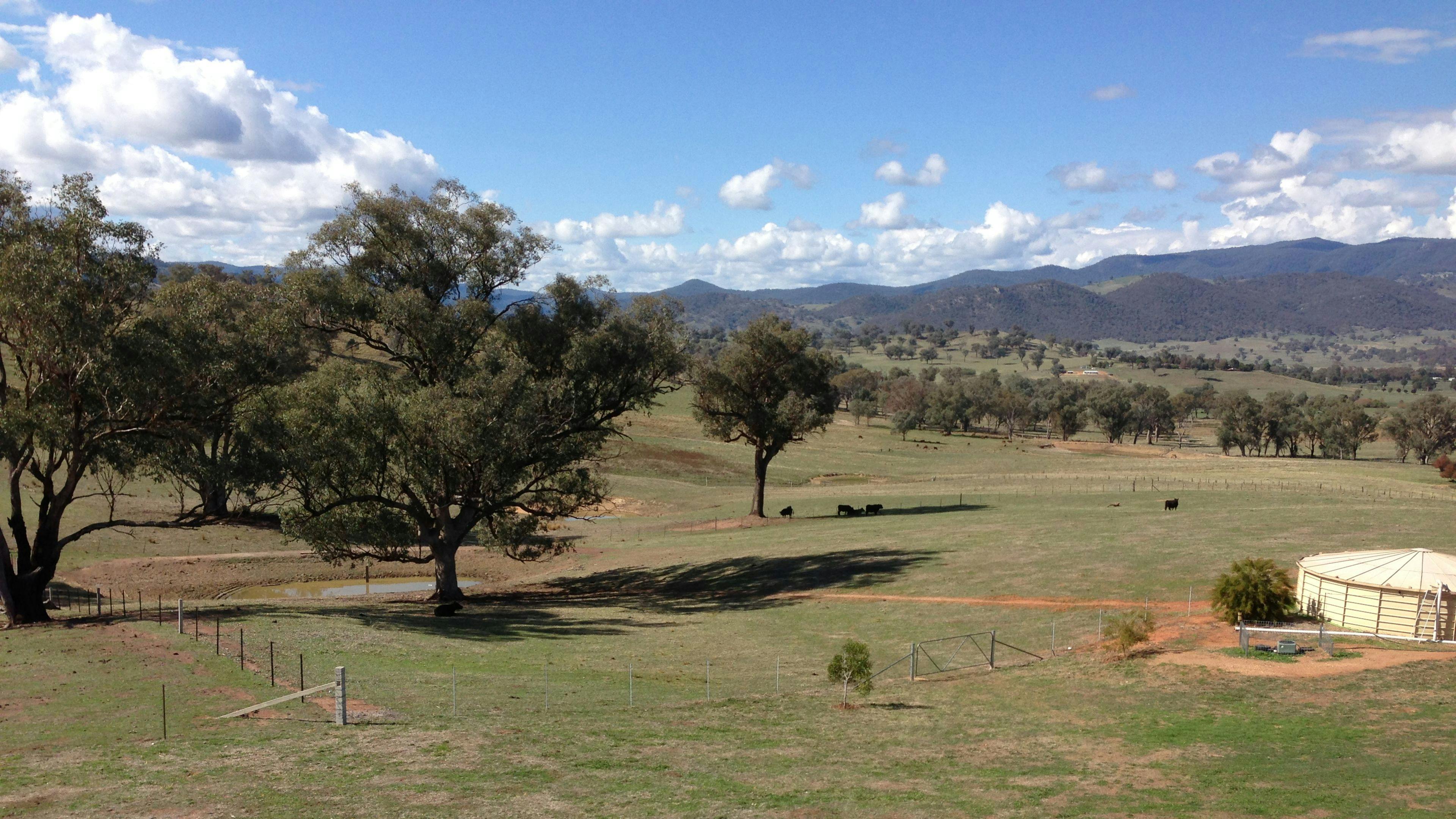 MOUNTAIN VIEW RETREAT