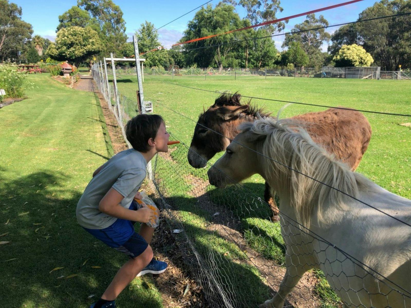 The children's animal petting zoo is a popular attraction
