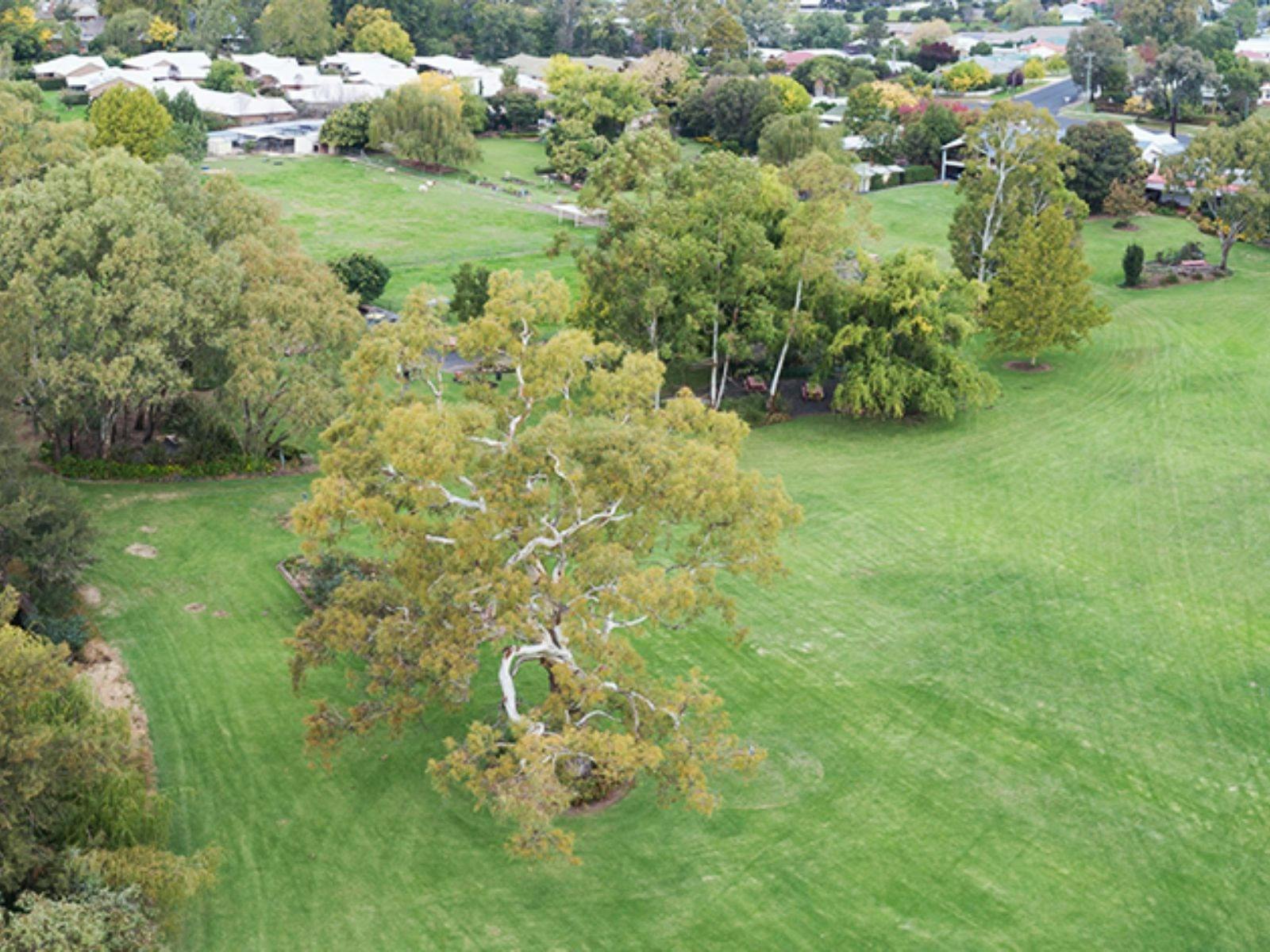 The beautiful grounds of Mudgee's Getaway Cottages