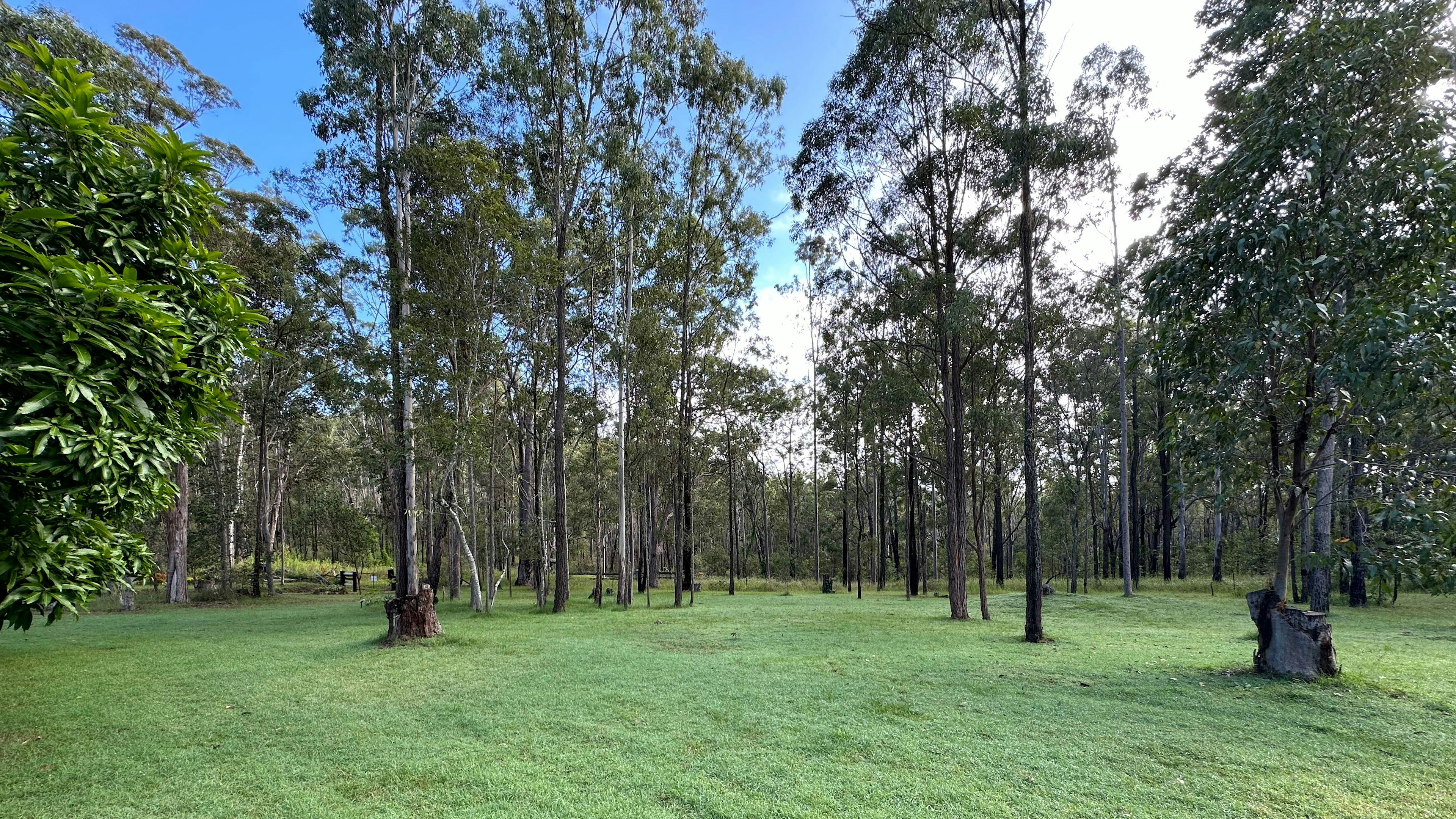 Mookima Wybra Tabulam