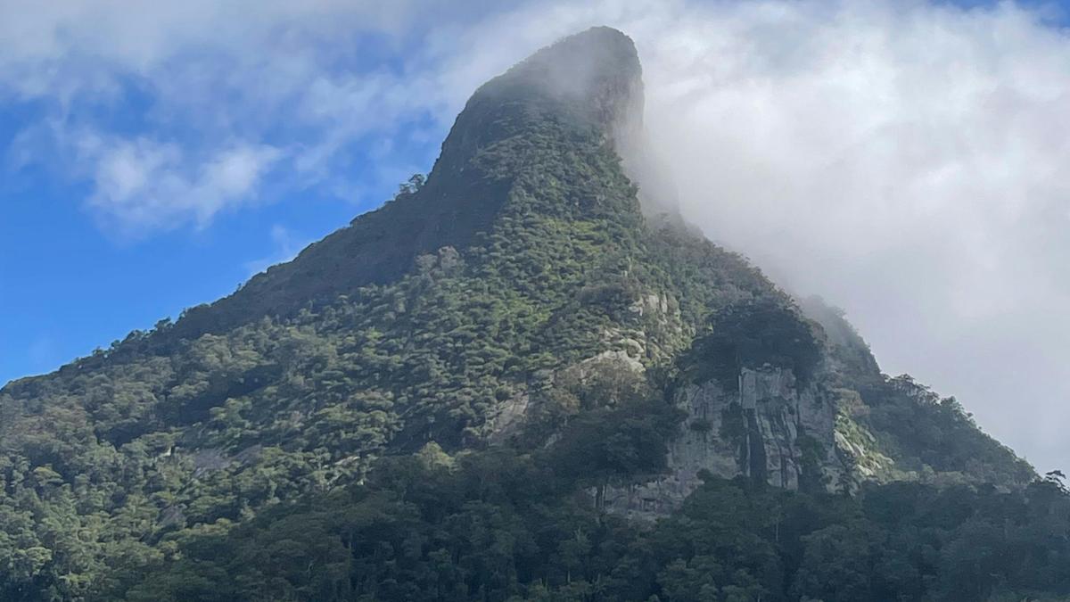 View of Mt Warning from top of property