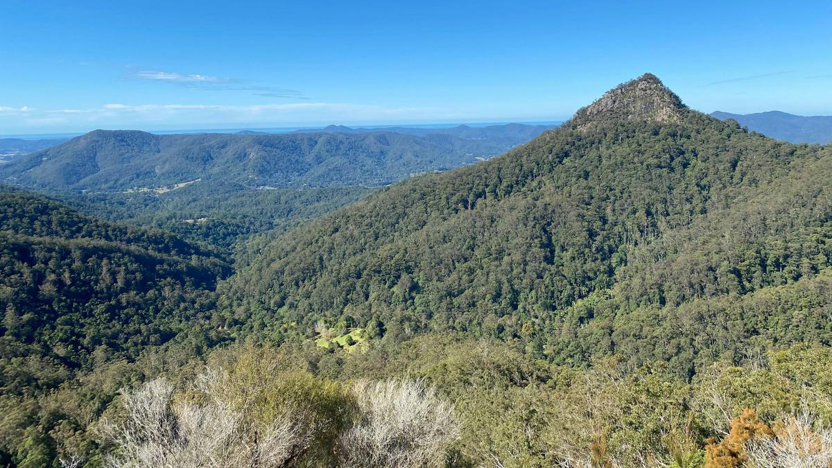 View from top of property