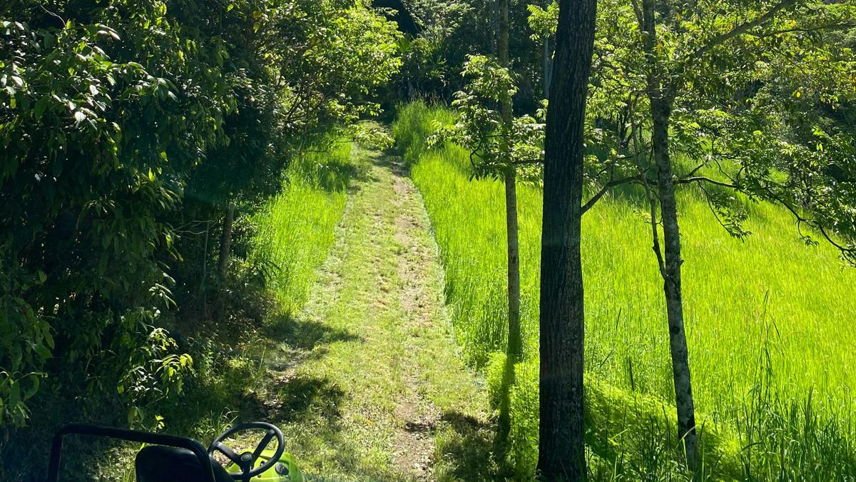 Access to camp site 