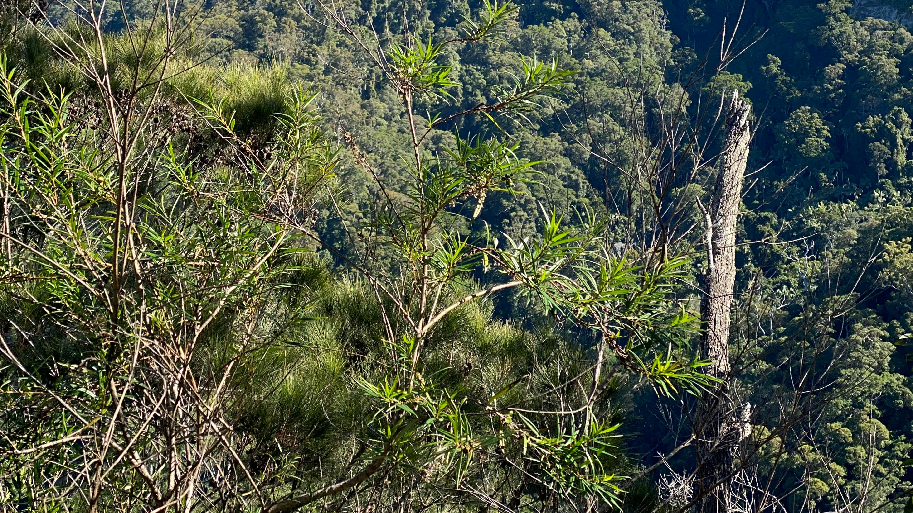 View of My warning from top of property