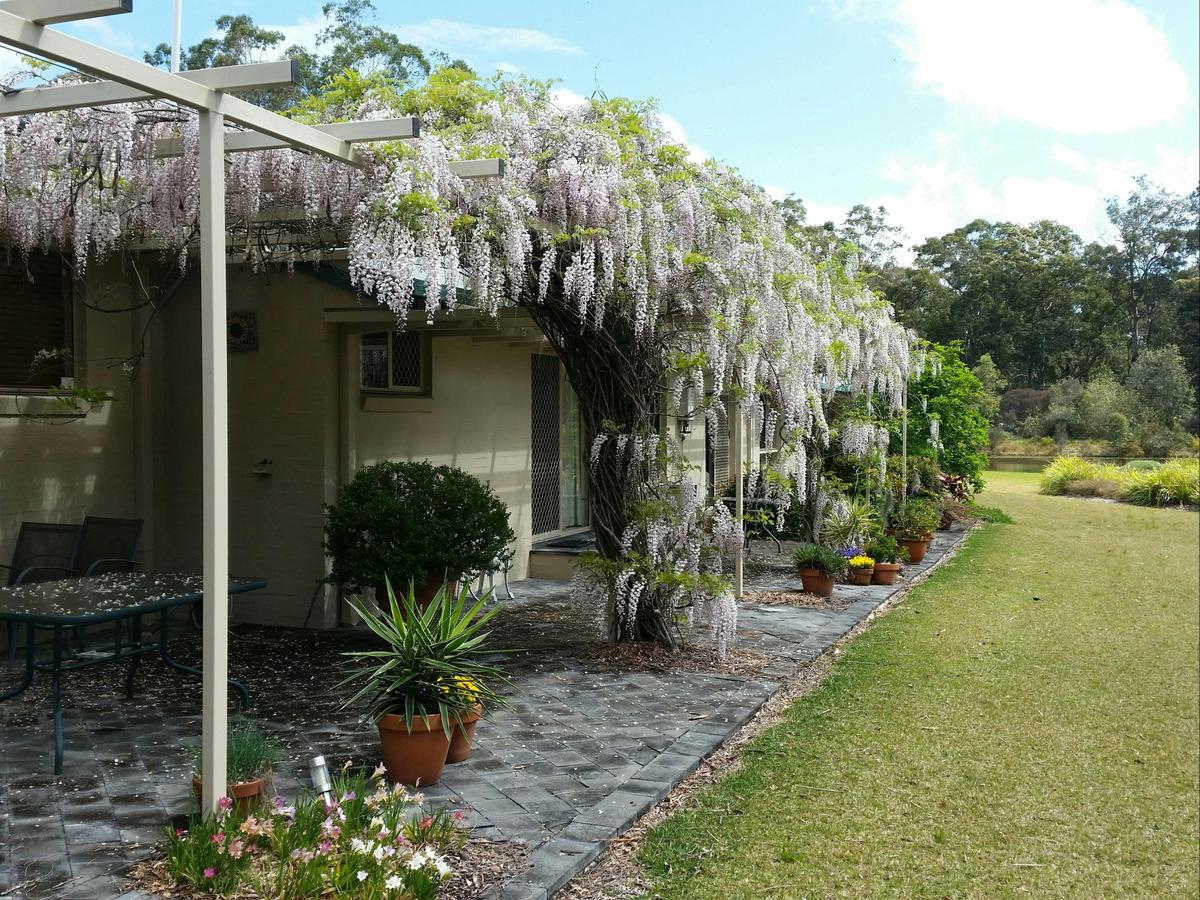 Beautiful wisteria covered pergola to enjoy whilst having a relaxing breakfast or anytime of day.