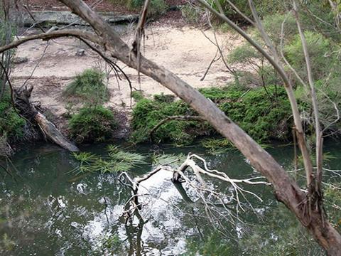 Mirang Pool campground