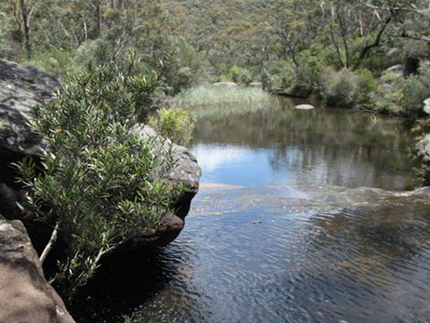 Mirang Pool campground, Heathcote National Park. Photo: Andrew Richards/DPIE