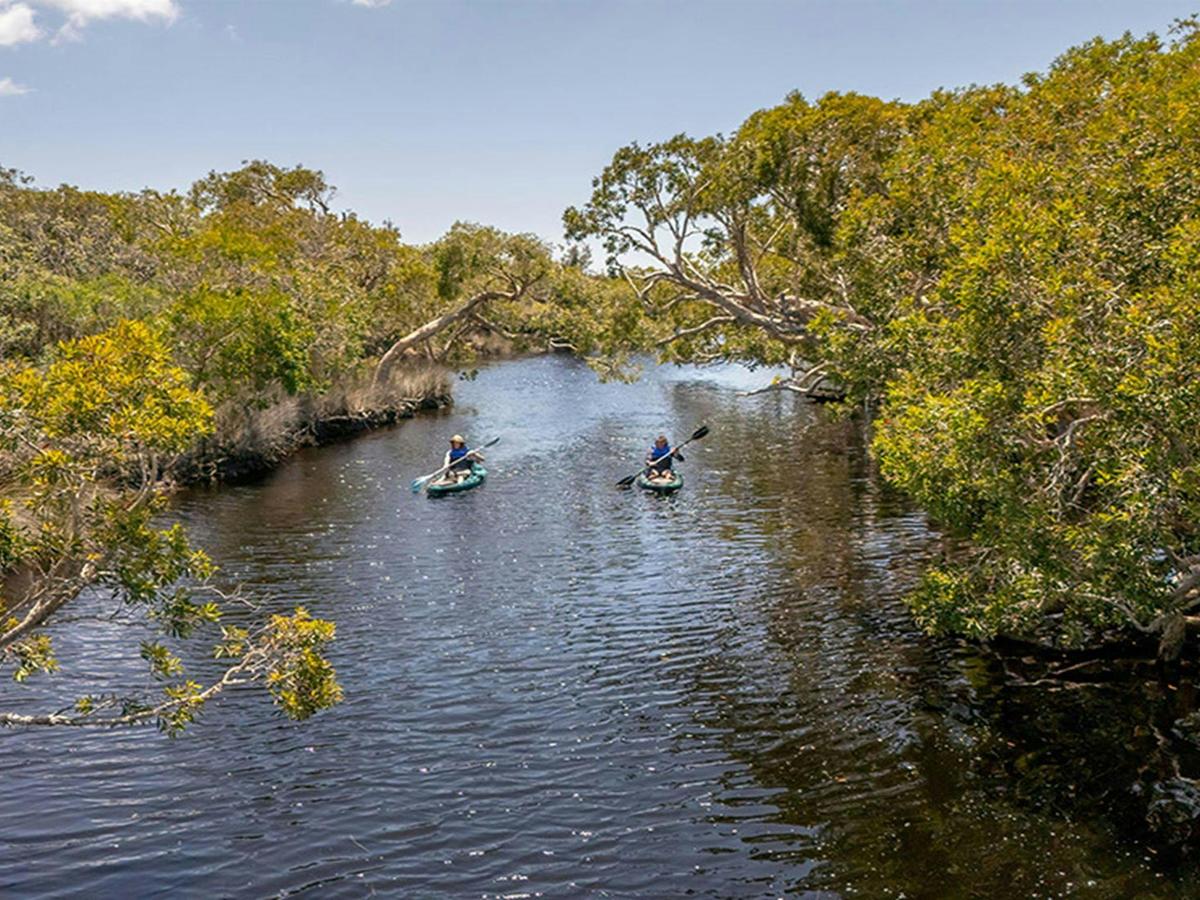 Two people kayaking along Jerusalem Creek paddle route. Credit: John Spencer &copy; DCCEEW