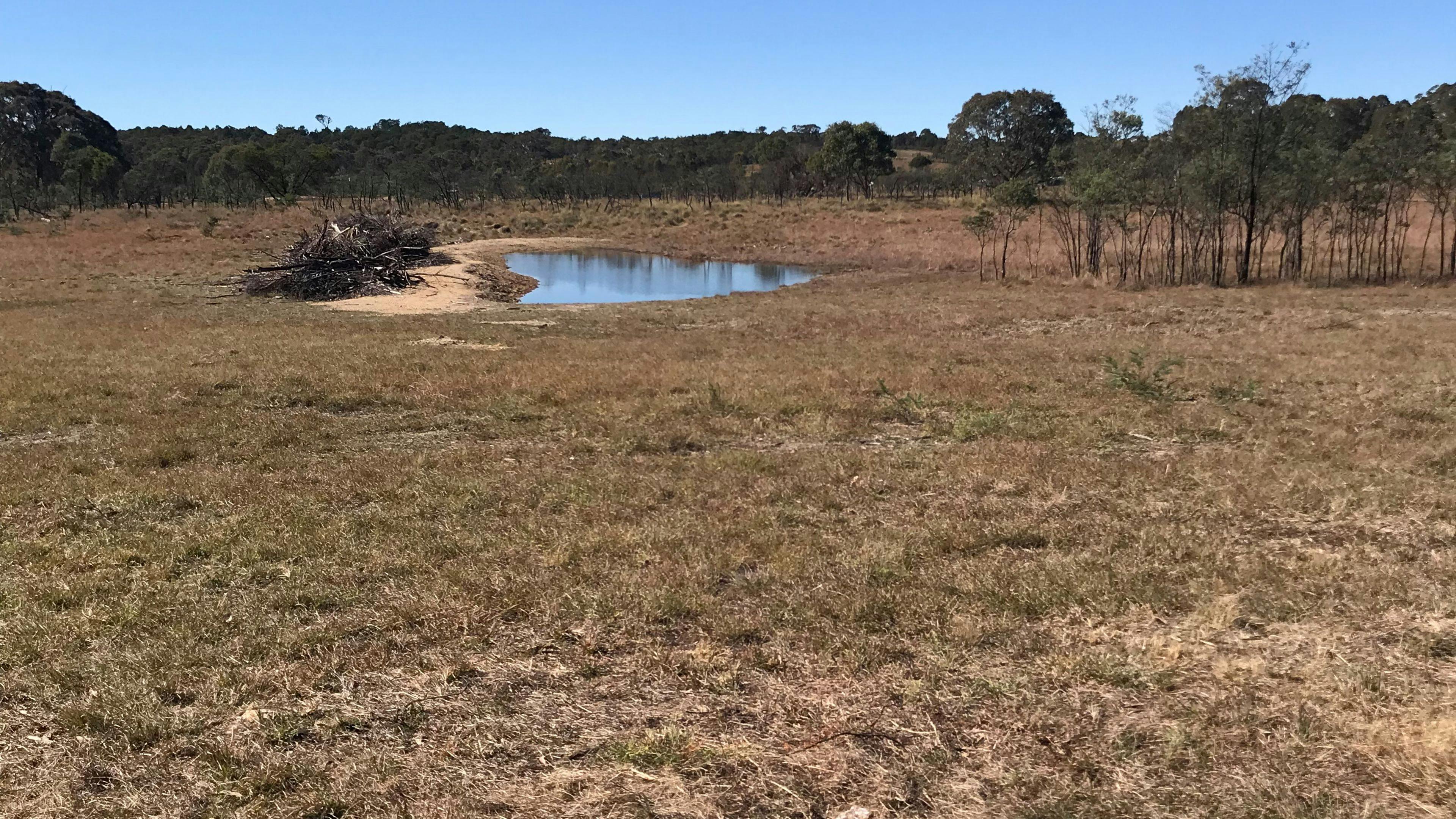 Miranda Springs Farm Stay