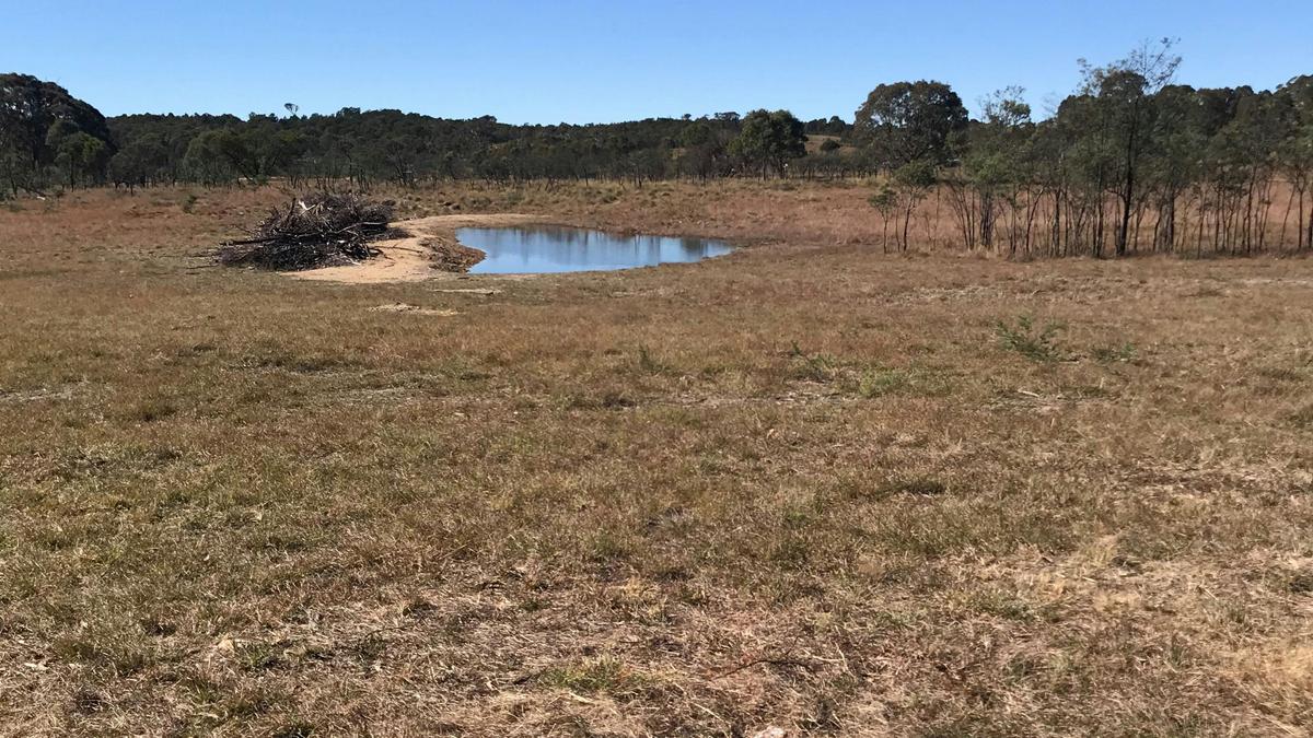Miranda Springs Farm Stay