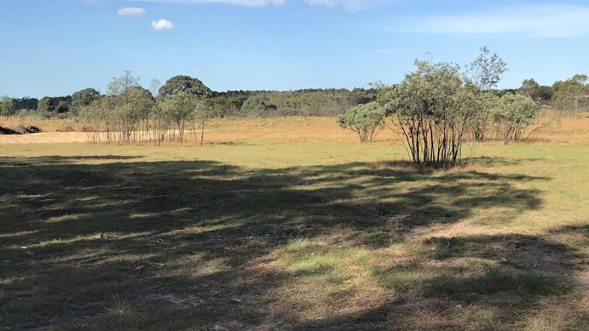 Miranda Springs Farm Stay