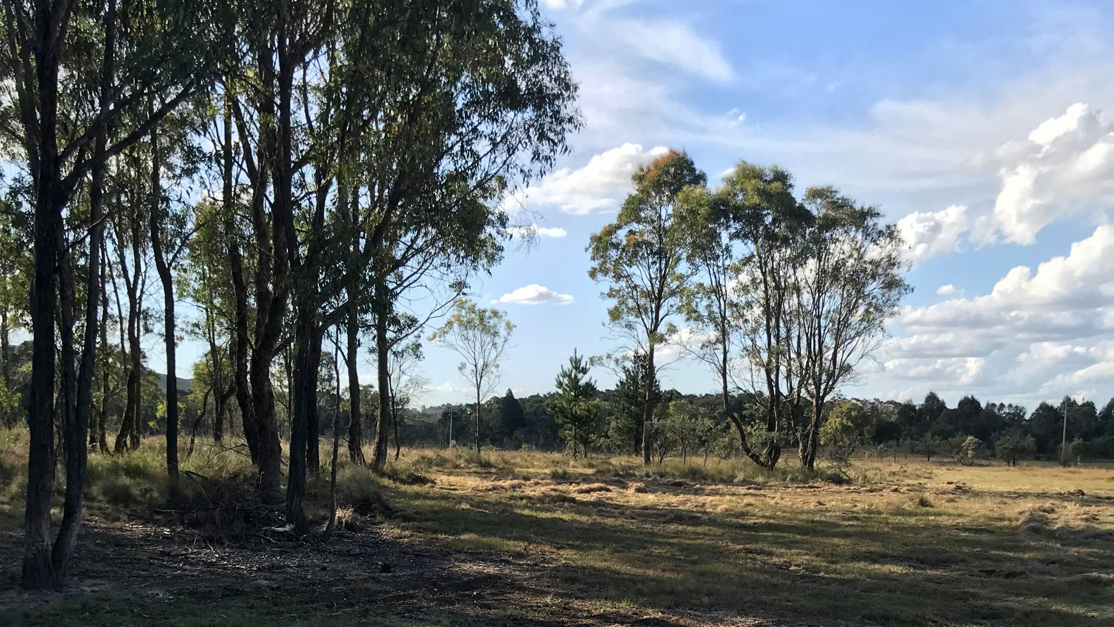 Miranda Springs Farm Stay