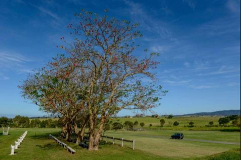 Milton Showground Camping