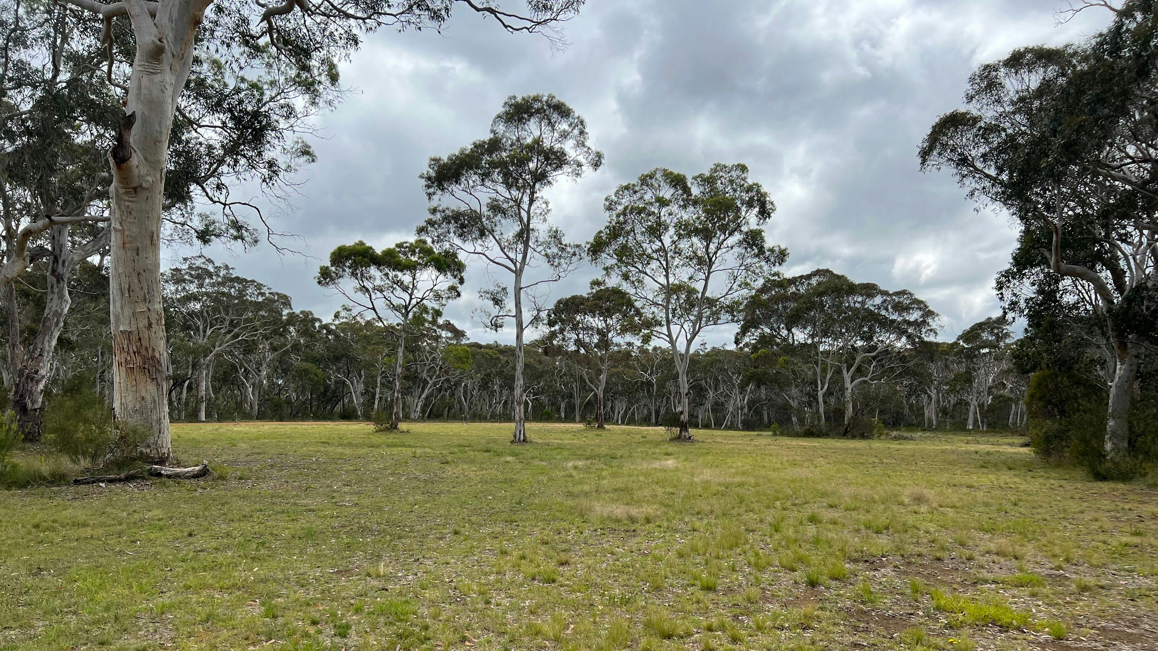 Noonameena - Sleep in the Bush