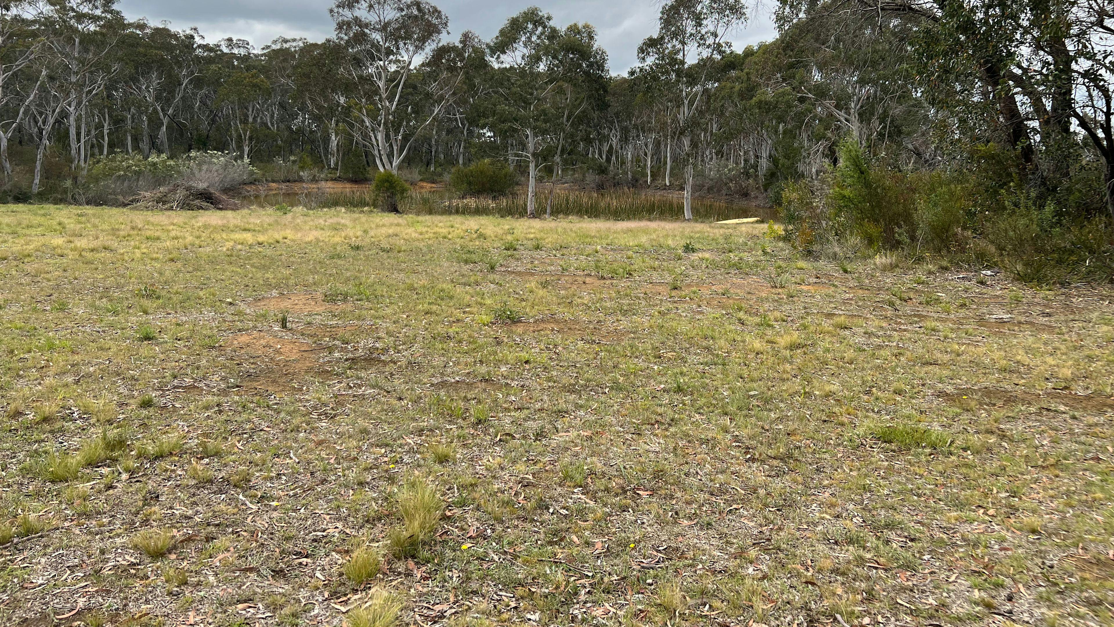 Noonameena - Sleep in the Bush