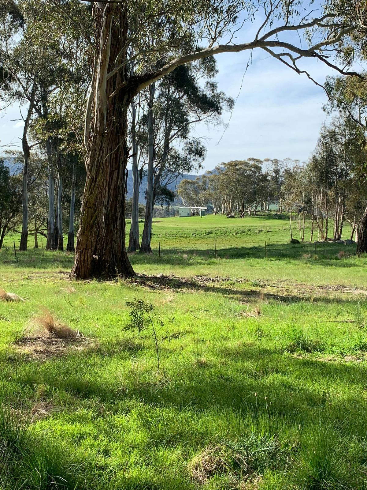 walking around mayfield farm