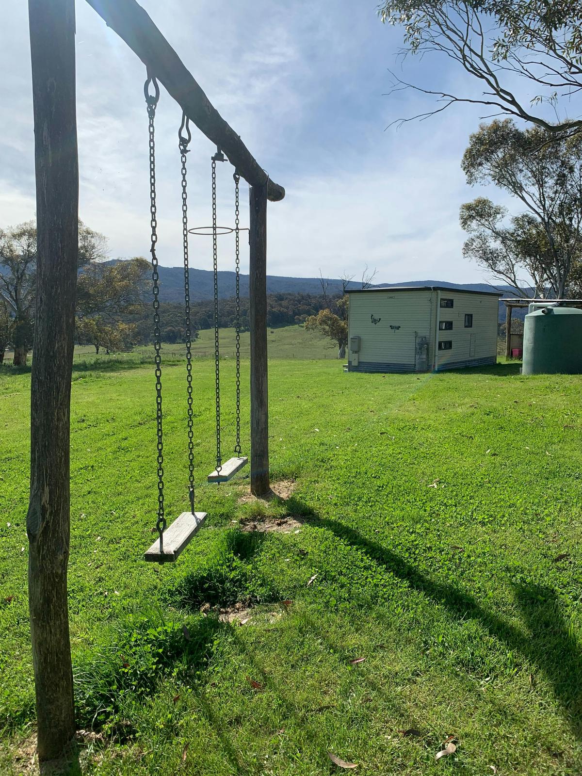 kids and adult swing