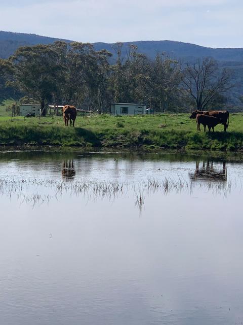 Mayfield Farm Stay Cabins and Spa Cottage