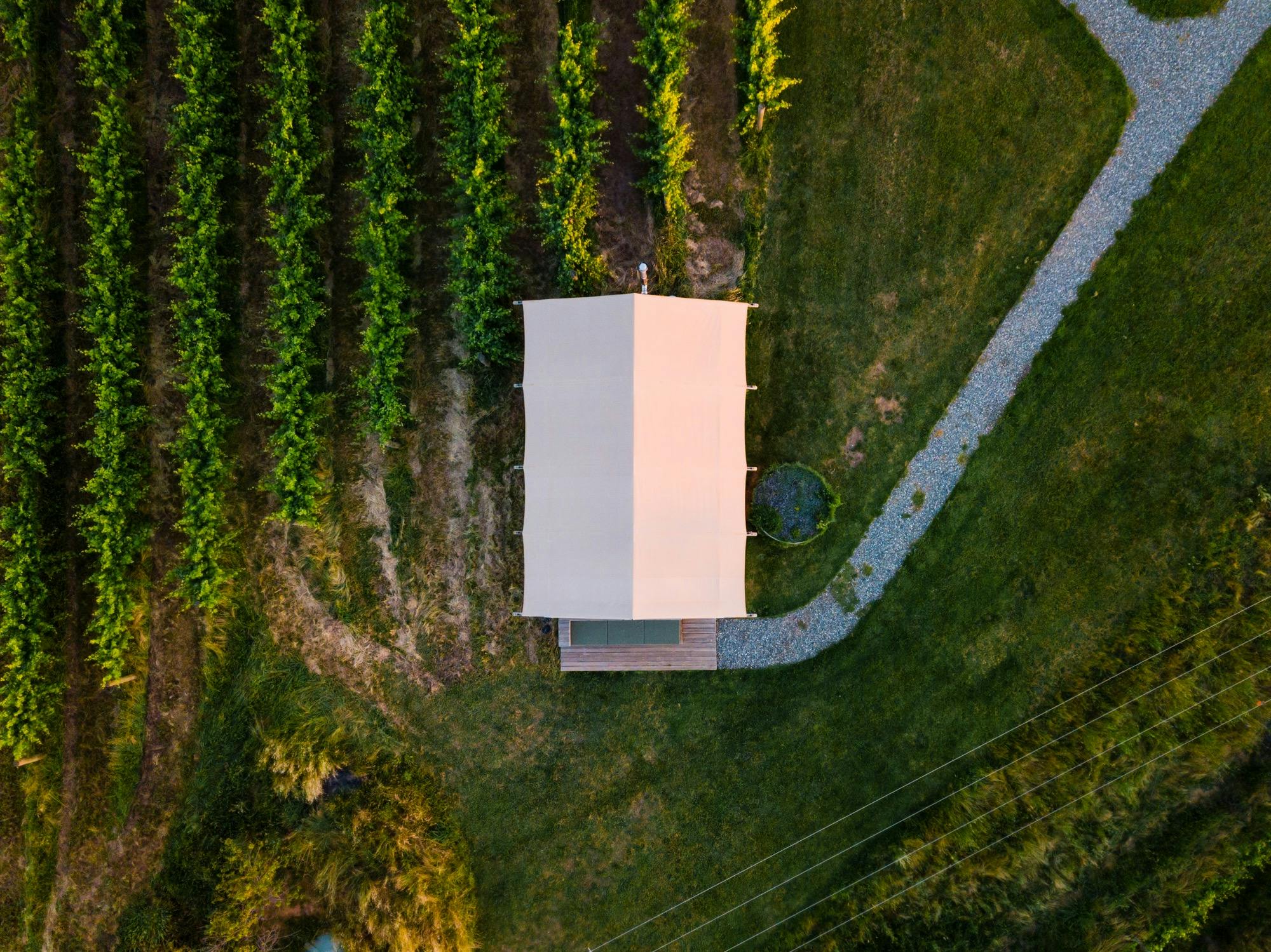 Glamping in the vines