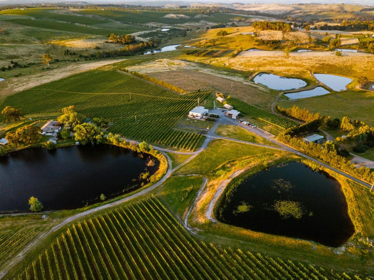 Luxury accomodation set on an award winning vineyard and winery in the Orange wine region