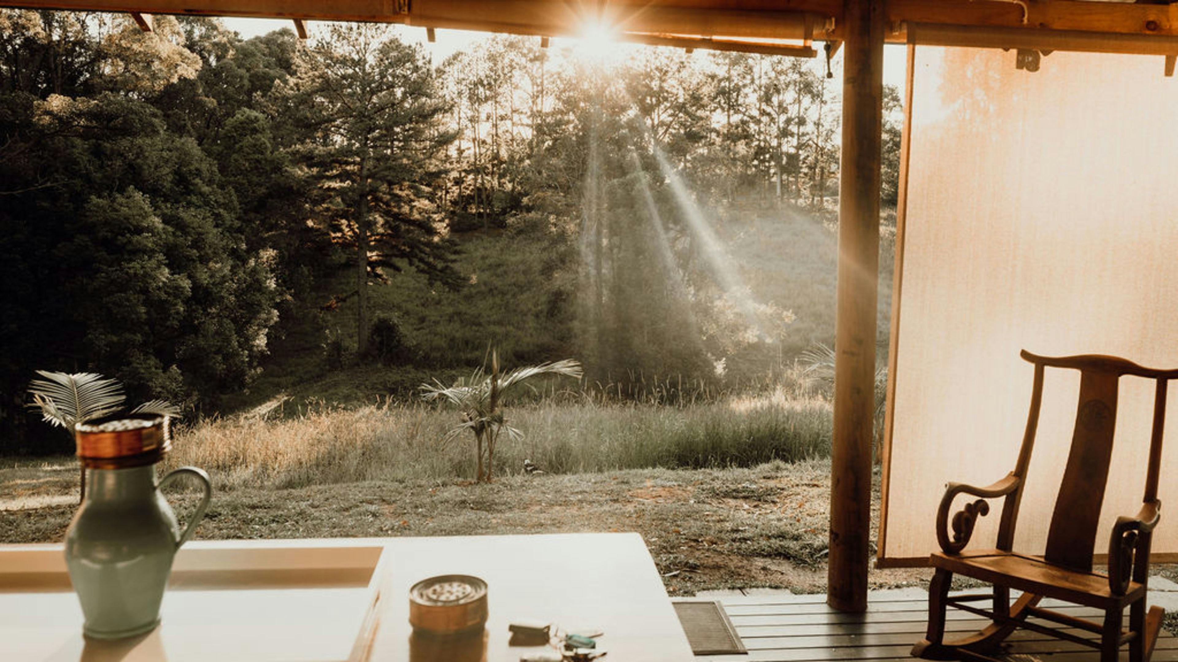 Nature Immersed Cabin & Glamping