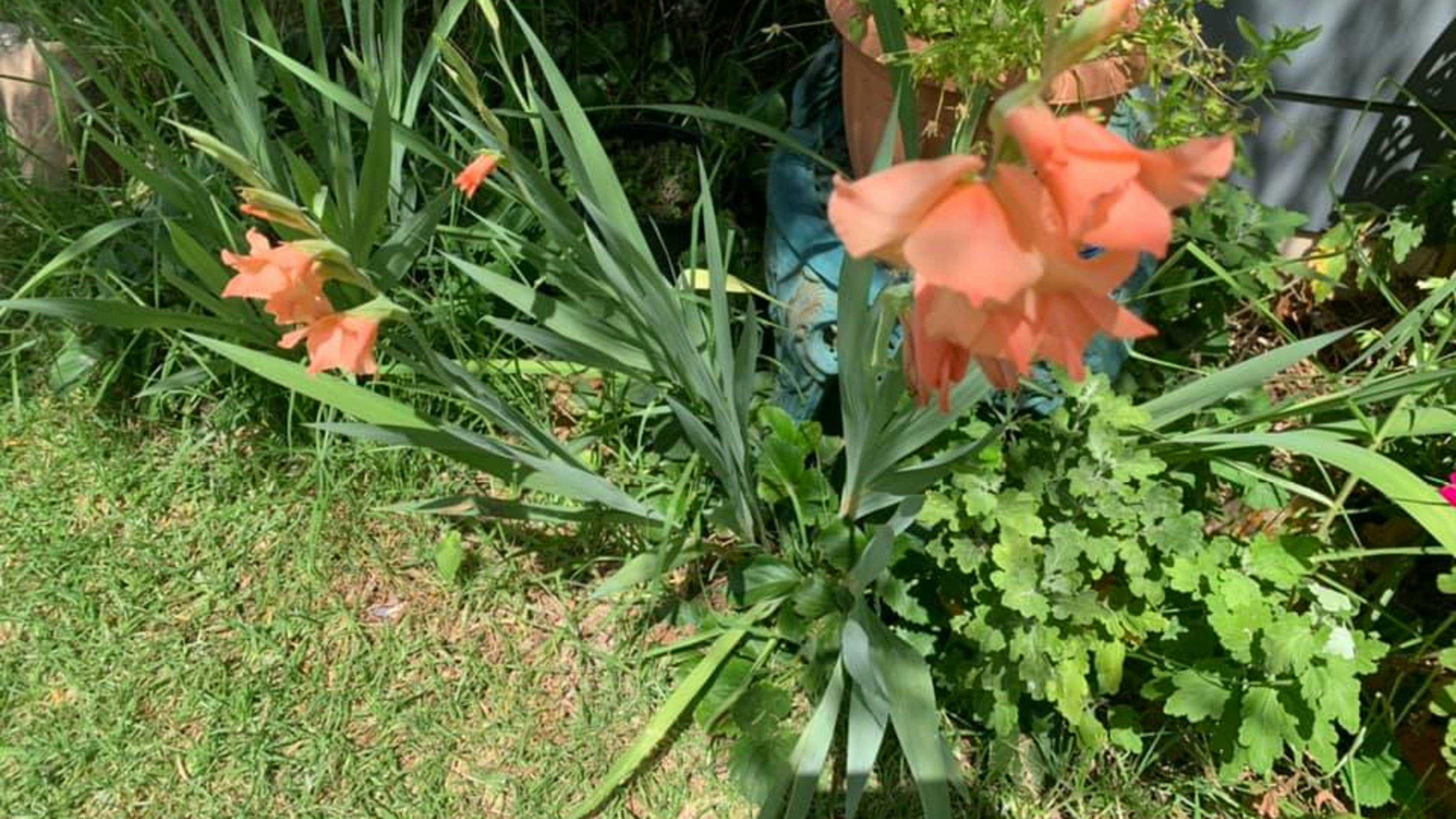 New England Highlands RV Park 