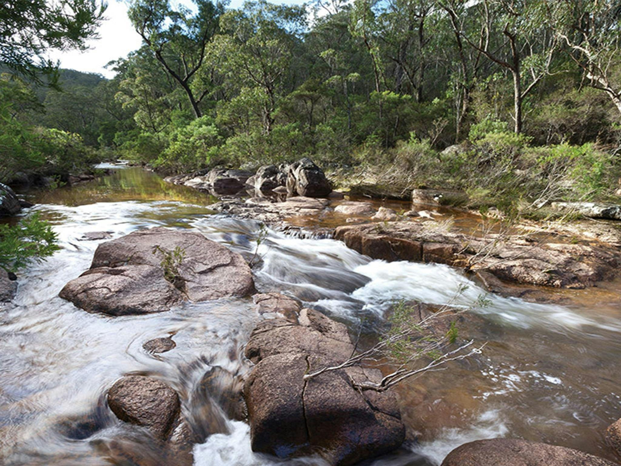 Little Dandahra Creek. Photo: Robert Cleary &copy; DCCEEW