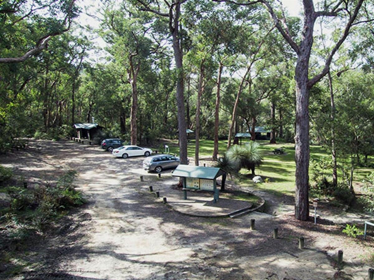 Car park and picnic areas, Mulligans campground, Gibraltar Range National Park. Photo: D Hayden/OEH