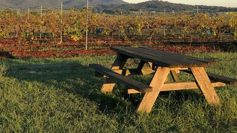 Mira Wines