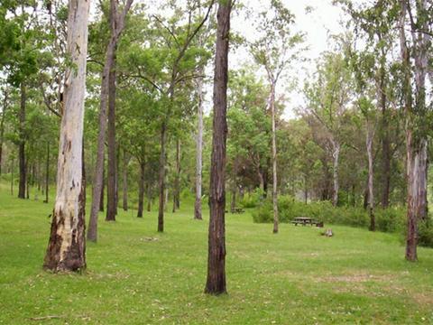 Nymboida River campground